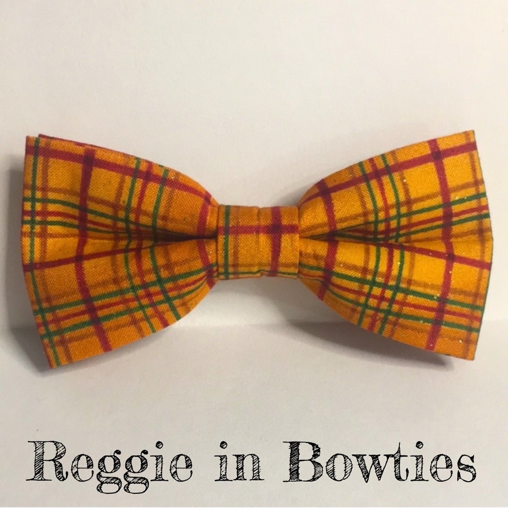 Pet Bowtie in an Auburn Fall Plaid